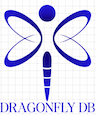 Dragonfly DB Logo